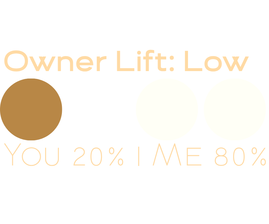 Owner Lift: ●○○○ Low — You 20% | Me 80%<br />
